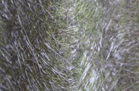 Chatton fibreglass roof work